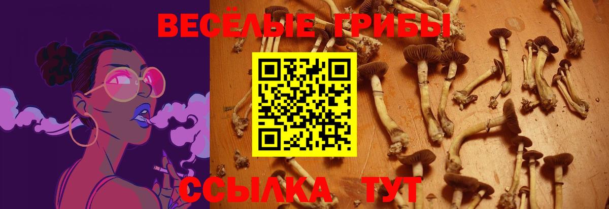 где можно купить   Галлюциногенные грибы Cubensis  Вход с VPN  Елизово 